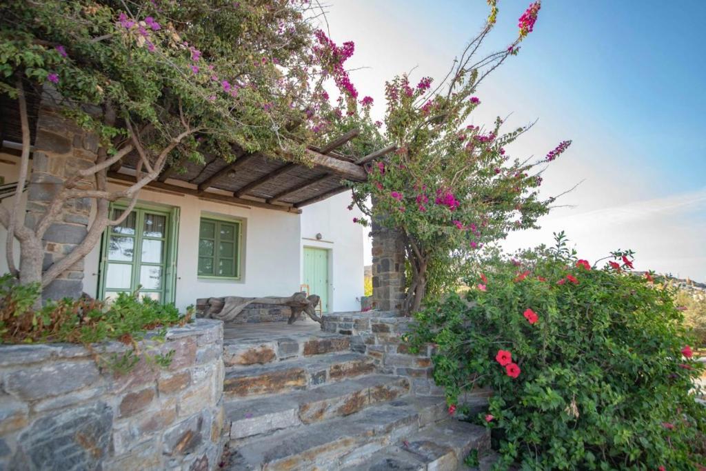 To Armiro Boutique Houses Plaka  Bagian luar foto